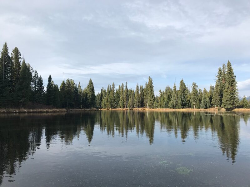 Henry's Fork shoreline in Island Park