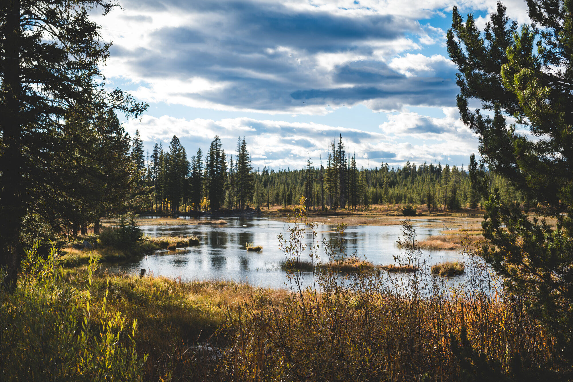 Aerial view of Island Park, Idaho — Grandview Property Management country