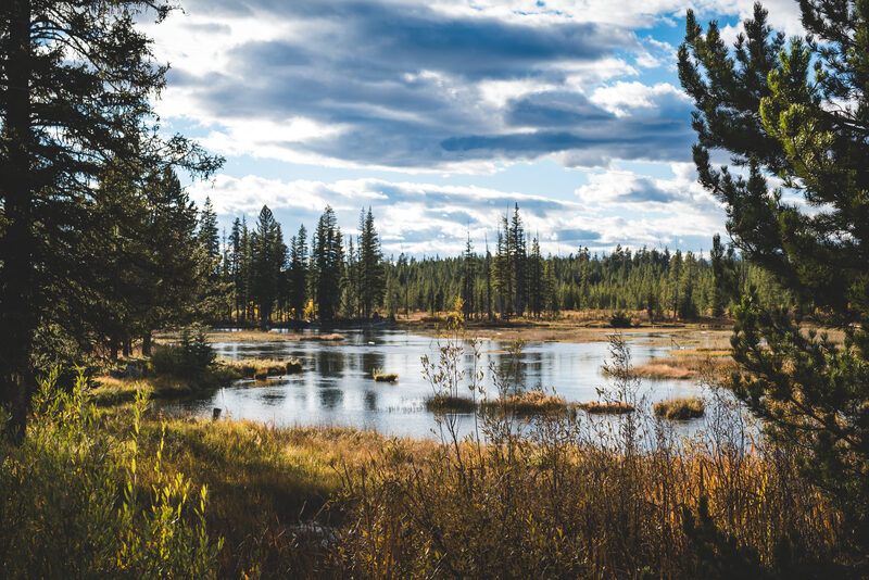 Aerial view of Island Park, Idaho — caldera basin
