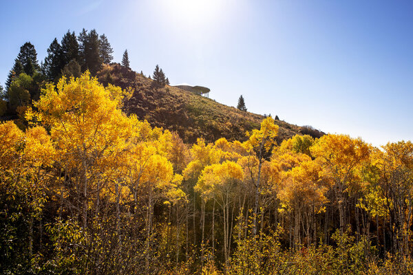 Grandview collection — Teton View West
