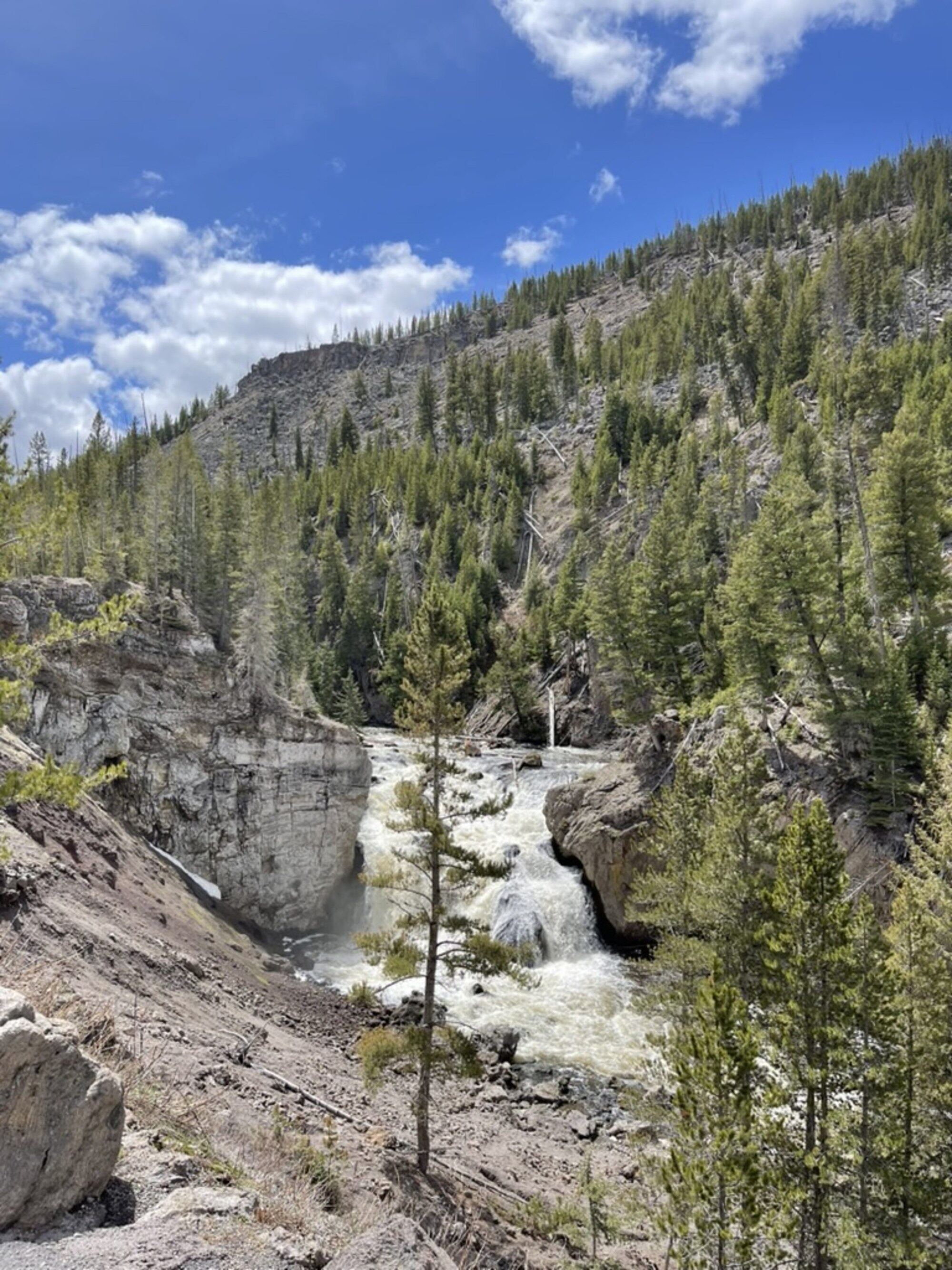 Yellowstone Canyon and Lower Falls — iconic photography subject