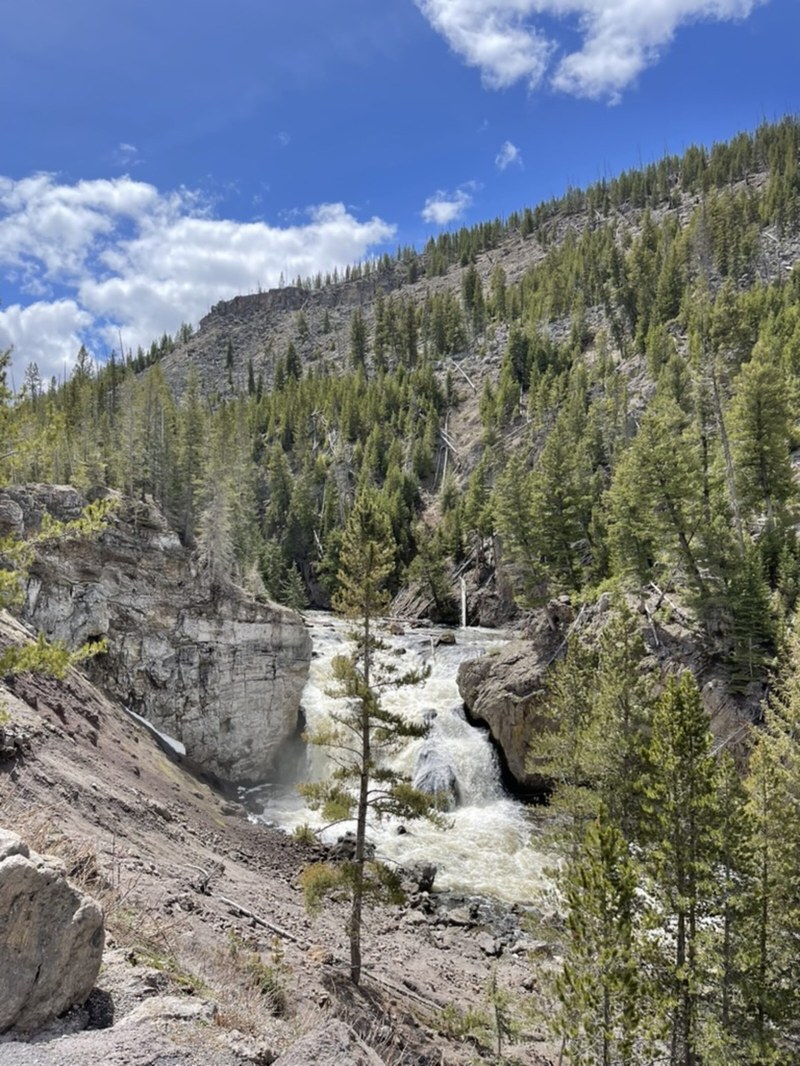 Yellowstone Canyon and Lower Falls