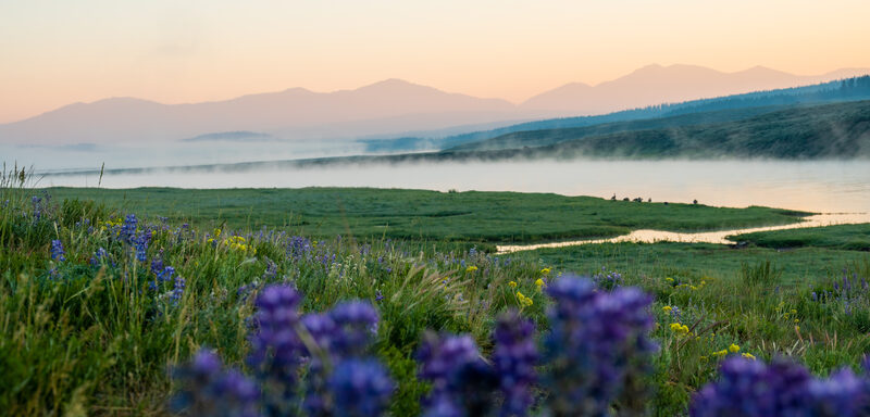 Morning fog over the Yellowstone River