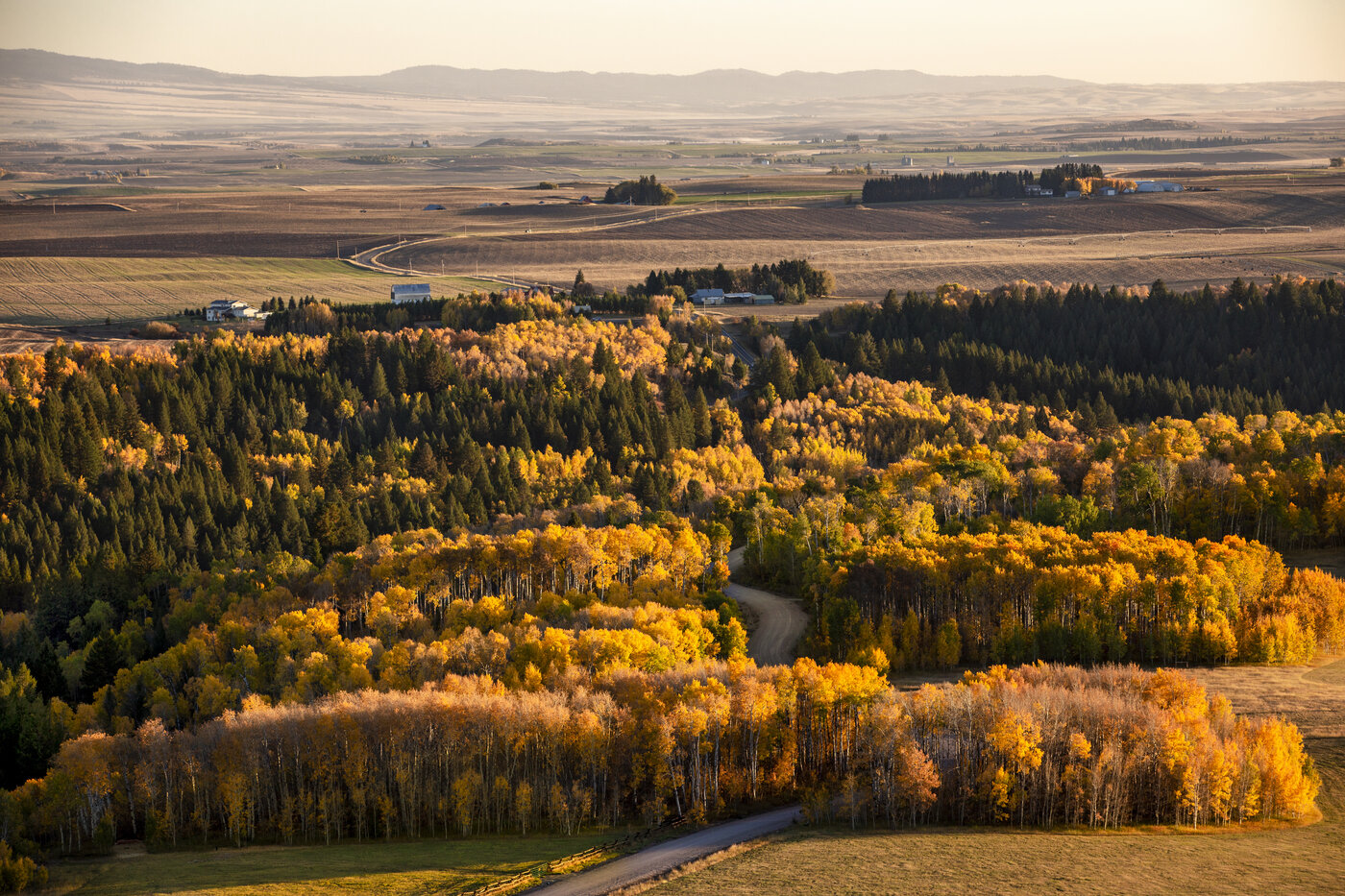 Teton View Retreat — West Cabin — fall foliage rolling across the valley below the property