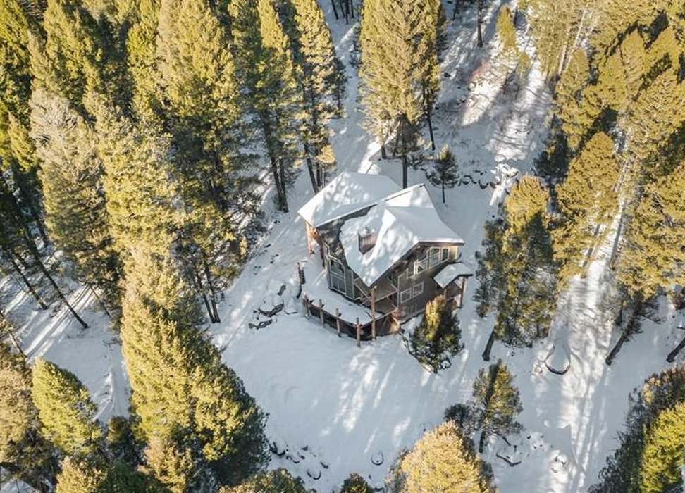 The Treehouse from above — cabin surrounded by pine forest in Island Park, Idaho